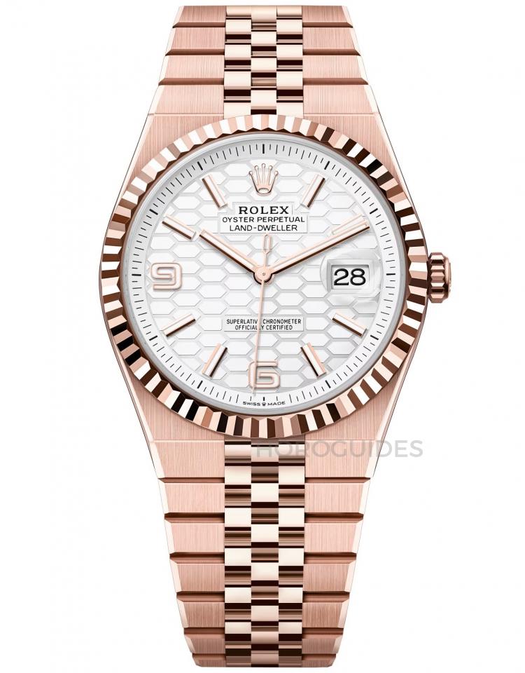 ROLEX 勞力士 - Land-Dweller系列 - 127335-0001