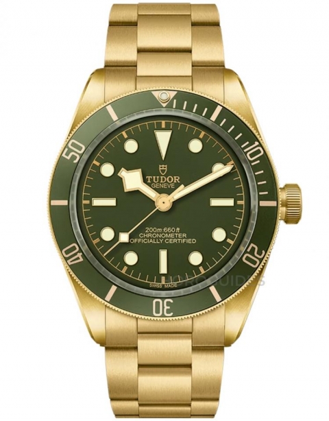 TUDOR - BLACK BAY - M79363N-0001 - 帝舵表 2026 年也見漲價，熱門Black Bay、Pelagos 價格變化一次看