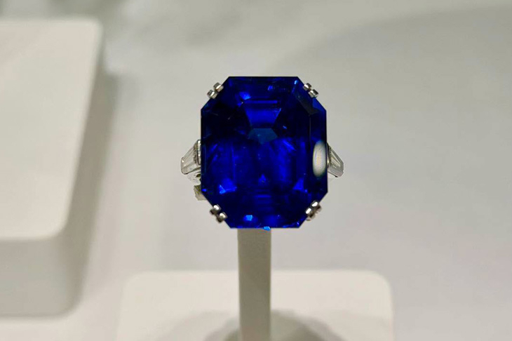 VAN CLEEF & ARPELS - 燕尾翹脊下， 梵克雅寶經典薈萃｜Signature高級珠寶鑑賞活動